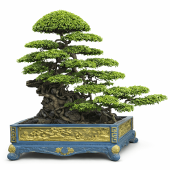 đôi trực huyền ôm đá