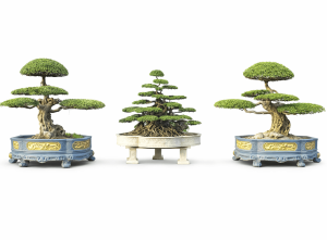 long chầu giáng làng cổ mộc tam sơn