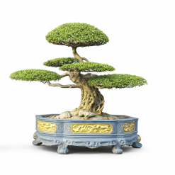 long chầu giáng làng cổ mộc tam sơn