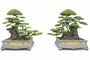 Trực huyền ôm đá